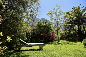 Jacaranda, bougainvillea, Palm trees, sun...