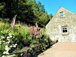 Curlew Cottage, summer time!