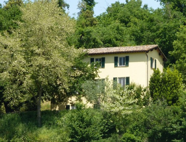 Yellow House from lower field