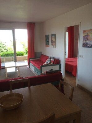 Salon + chambre