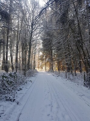 Sneeuw- en skisporten