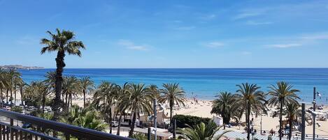 Vista desde la terraza