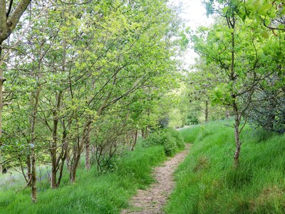 Ash Bank, Jacobs Wood, SILSDEN