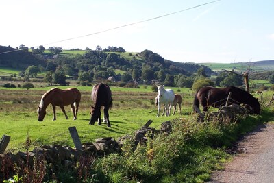 Lovely period Holiday cottage in Peak District with free wi-fi broadband