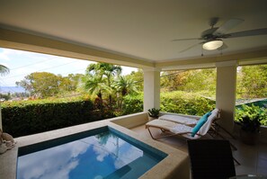 Plunge pool and patio