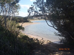 Strand