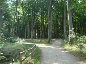 Ferienobjekt Graal-Müritz - Waldweg