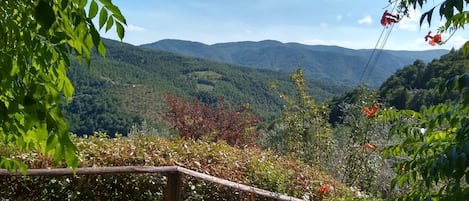 View from steps leading down to pool