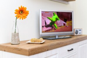 Télévision