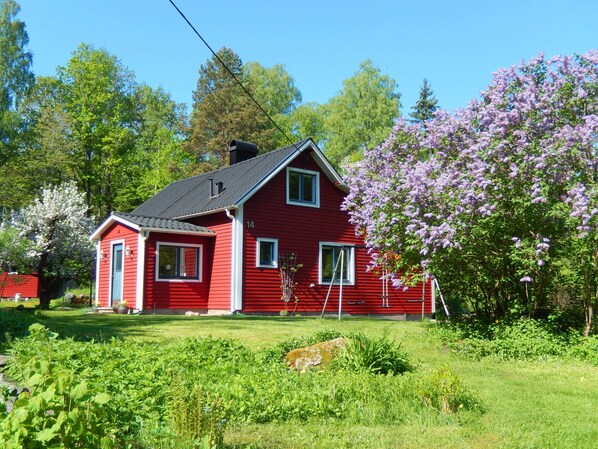 Exteriör