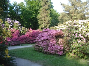 Ferienobjekt Graal-Müritz - Rhododendronpark