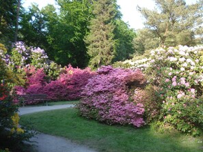 Ferienobjekt Graal-Müritz - Rhododendronpark