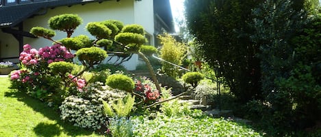 Jardines del alojamiento