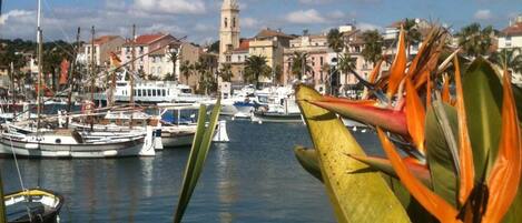 Le port de Sanary et son marché coloré élu " plus beau de France " 
