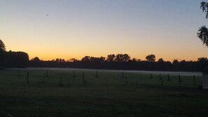 Oklassificerad bild, 3 av 18, knapp