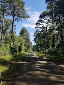 Charming Cabin Walking Distance to Water & Boat Launch