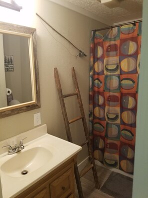 Remodeled downstairs bathroom