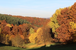 Herbst im Geo-Naturpark Frau-Holle-Land