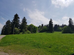 Idyllische Lage am Hügel