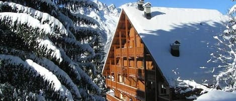 Exteriör