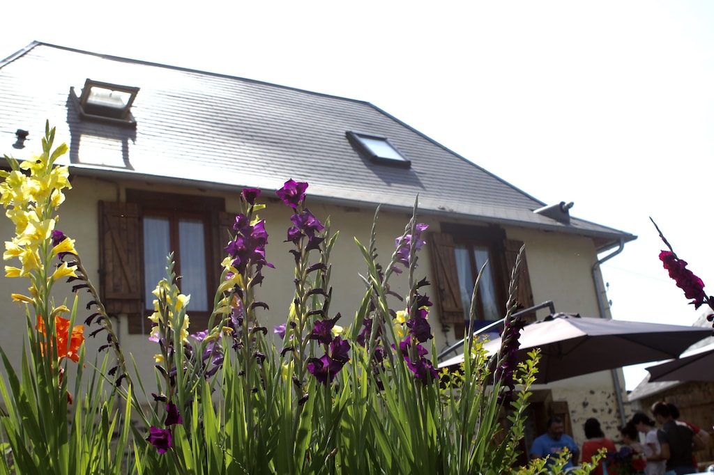 Picture of villa