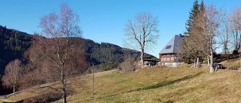 Ferienwohnung "Bosse", 1 Wohn-/Schlafraum, max. 2 Personen-Feissesberghof