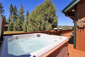 Jacuzzi on rear deck with amazing views into the nature reserve in our backyard