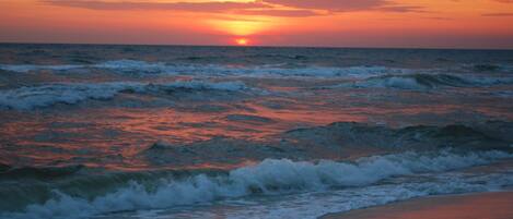 beautiful sunset at the beach