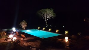 Pool and garden at night 