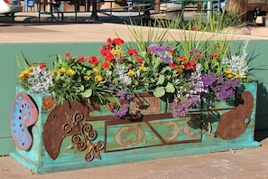 One Of My Decorated Planter Boxes Downtown
