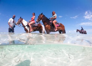Go horseback riding with Unique Tours - discounts available for our guests. 