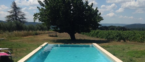 The swimming pool..and the olde cherry tree (best place for  nap)