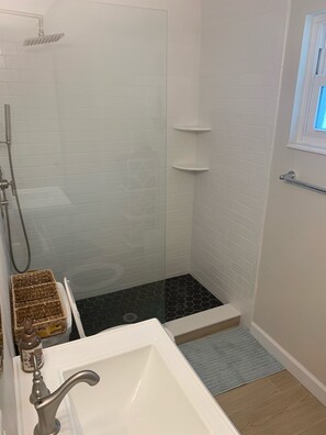 Updated Bathroom w/ new walk-in shower, toilet, and sink