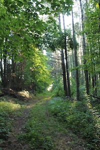 Relax and Rejuvenate at this Quiet Cottage in the Heart of the Driftless Area