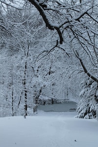 Relax and Rejuvenate at this Quiet Cottage in the Heart of the Driftless Area