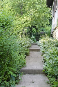 Relax and Rejuvenate at this Quiet Cottage in the Heart of the Driftless Area