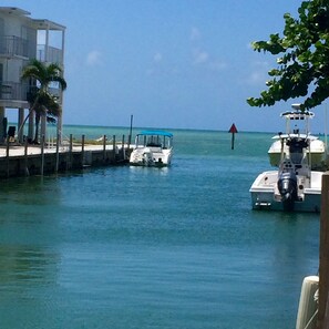Direct access with plenty of room and dockage 