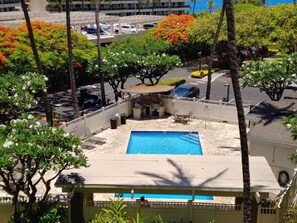 Ocean View, pool view