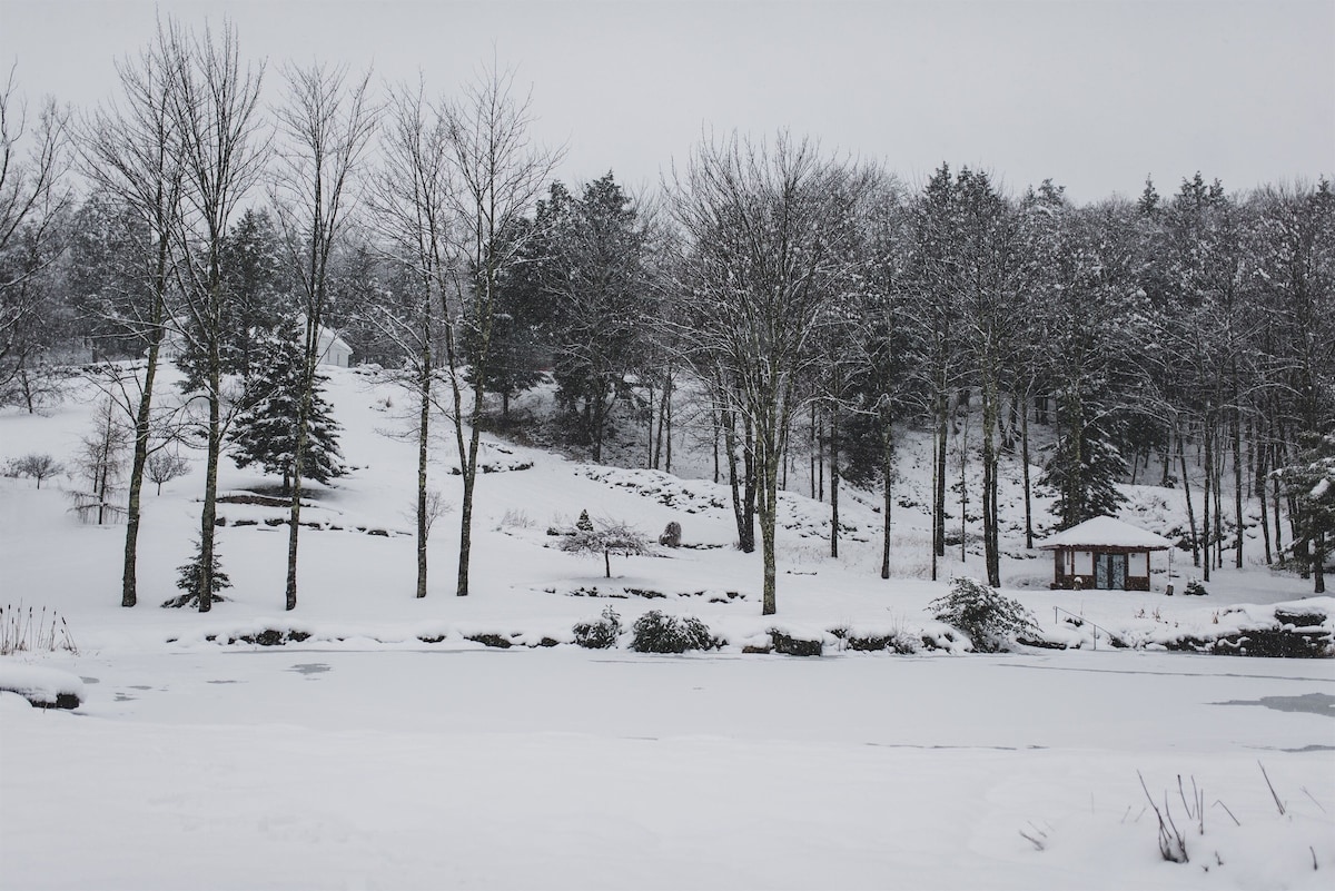 Amazing Views, Firepit, Pond, Quiet Escape!