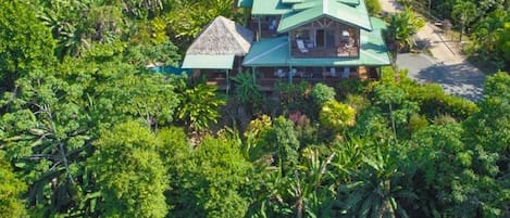 Welcome to Paradise with ocean views and  surrounded by Rain forest!