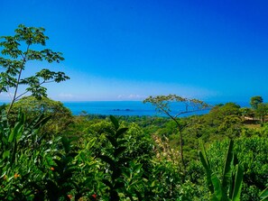 Amazing Ocean views from every room in the house!