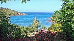 View from the terrace