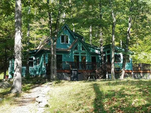 Freshly painted beauty in the woods.