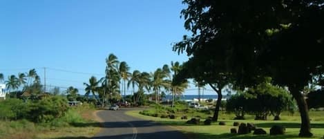 Drive to Poipu Beach Park - We are a one minute walk to beach!