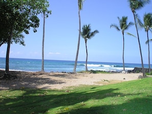 Honl's beach is a 5 minute walk from Kona Pacific.