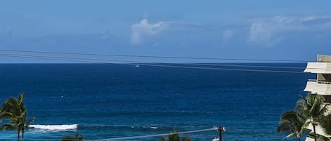 Vista dalla struttura