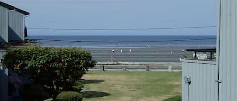 Welcome to Birch Bay, Washington State's premiere recreational beach 