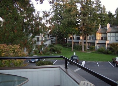 Beach Condo with Gorgeous View of Birch Bay