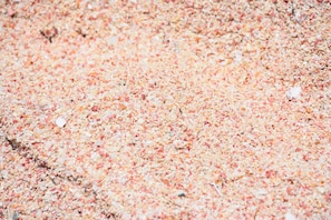 Awesome!!! Pink Sand on Warwick Long Bay Beach...close..we will show you how to!