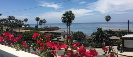 Direct beach views from your deck! 